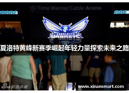 夏洛特黄蜂新赛季崛起年轻力量探索未来之路